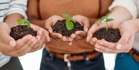 Soil, leaves and hands of business people with teamwork, collaboration and support for earth day....
