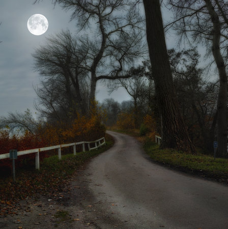 Road, forest and moon with tree in countryside for sunrise, environment or twilight. Empty, nature and night with outdoor for sustainability, evening journey or travel landscape in Switzerlandの写真素材