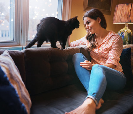 Woman, cat and petting for fur in home, scratch and support animal or companion for love on sofa. Female person, relax and calm owner in living room to stroke pet, bonding and connection for loyaltyの写真素材