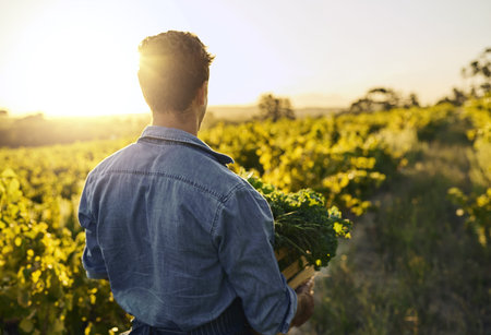 Back view, man and farming in countryside for health, nutrition and sustainable diet. Farmer, plants...
