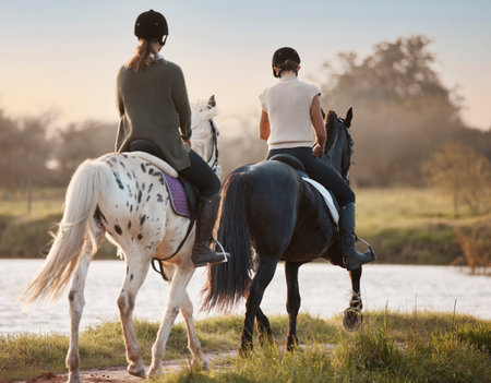 Horse riding, friends and people outdoor by lake on vacation, holiday or travel in countryside. Equestrian, animal and women on horseback at river on adventure or journey together in nature at fieldの写真素材