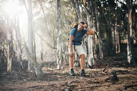 Man, hiking and sweat or tired in forest for health with fitness, exercise or survival in France. Countryside, adventure and exhausted with walking in nature for wellness, wellbeing or rest on travelの写真素材