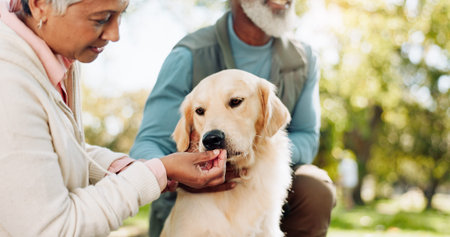 Senior couple, dog and outdoor care with treat for love, support and healthy snack for praise or...