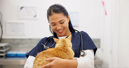 Cat, doctor and care for checkup in clinic with love, hug and medical exam for animal services of...