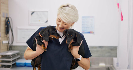 Mature woman, doctor and smile with dogs for healthcare or medical checkup, consultation and...