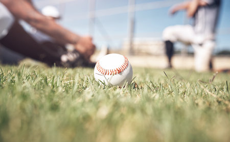 Grass, softball and ball on field for game, competition and pitch for training of team. Sport people warm up, baseball and lawn for practice and hobby on floor with equipment in Florida stadiumの写真素材