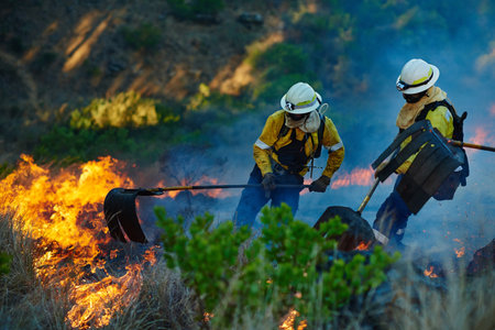 Smoke, trees and firefighter team with emergency, disaster management and damage control in forest. Mountain, flame and people help for fire rescue, volunteer service or safety in nature conservationの写真素材