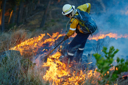 Smoke, fire and man in forest for emergency, disaster management and damage control in bush. Mountain, help and firefighter in flame for rescue, volunteer service and courage for nature conservationの写真素材