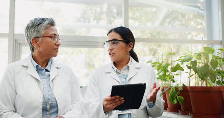 Collaboration science and women with tablet, plants and agriculture for medical pharmaceuticals. People, employees and researchers with tech, nature and digital app for gmo results and connectionの写真素材