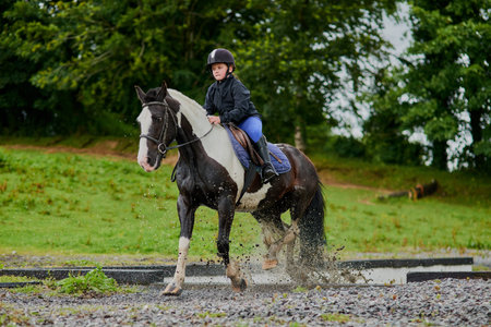 Girl, horse and riding on farm for equestrian, development and learning with dirt or grass in...