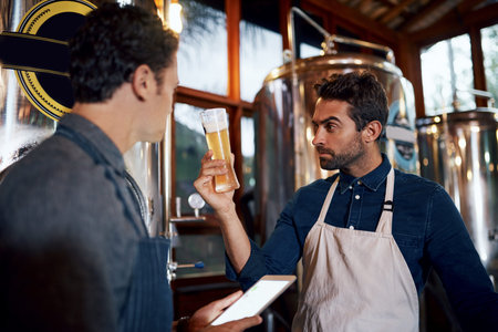 Beer, taste and test with men in brewery together for quality control of beverage, drink or...