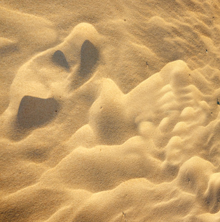 Sand, beach and texture for wallpaper with sunset, nature and ripple from wind. Desert, background...