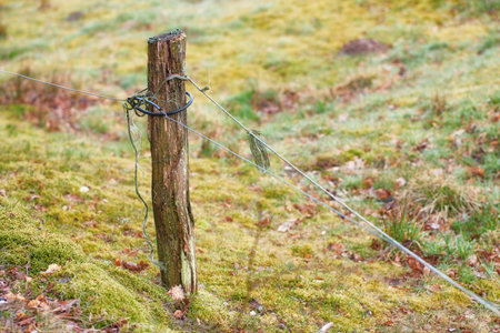 Cable, farm and fence with pole for safety, protection or barricade on farmland or grass field in...