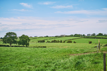 Agriculture, countryside and landscape of farm with blue sky for growth, development or...