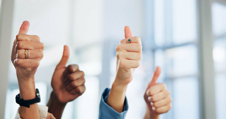 Employees, hands and thumbs up in office for approval, team support and motivation for goals. Business people, emoji and symbol for like feedback in workplace, cooperation and staff for collaborationの写真素材