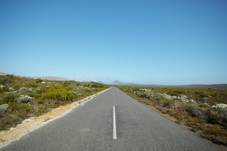 Outdoor, rural and road with nature for trip, drive and travel on holiday in Kenya. Outside, adventure and tourism with sustainability, transportation and vacation with asphalt in mockup spaceの写真素材