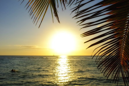 Environment, ocean and travel with sunset at beach for tropical, summer and sustainability....