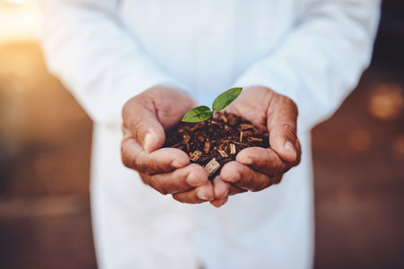 Person, scientist or hands with plant in soil for sprout, seedling or sapling in nature agriculture. Closeup, biologist or leaves with natural growth for conservation or eco friendly sustainabilityの写真素材