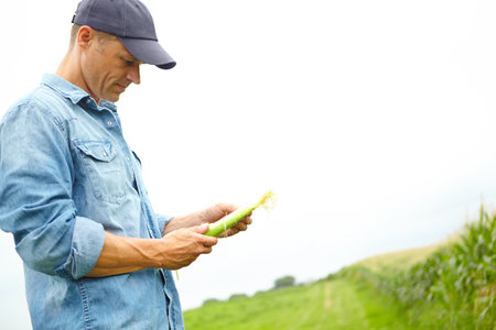 Man, farmer and inspection with corn crop for growth, development and sad for loss in countryside. Person, agriculture and food production with mockup space, reflection and vegetables in Argentinaの写真素材
