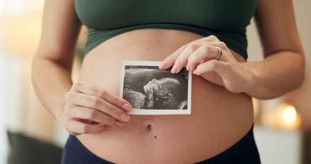 Hands, house and pregnant woman with ultrasound, maternity and wellness in living room. Closeup, pregnancy and health with baby scan, apartment and sonogram with future, growth and prenatalの写真素材