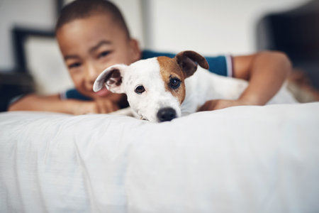 Bonding, child and pet in home, bedroom and love for animal, loyalty and care for dog and companion. Bed, comfortable and boy with puppy, trust and cute in weekend, youth and furry friend in houseの写真素材