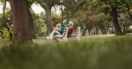 Relax, senior couple and dog in park for bonding, fitness break and companion in retirement outdoor. Married people, man and woman with golden retriever as animal, friendly pet or commitment on benchの写真素材