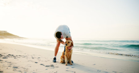 Travel, man or affection to dog at beach for loyalty, companion or holiday adventure with playing....
