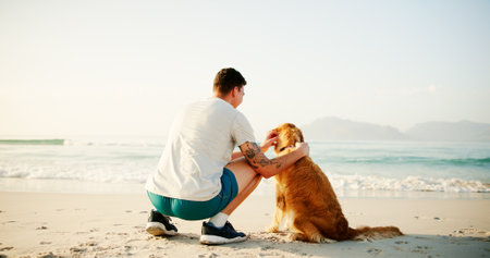 View, man and affection to dog at beach for nature scenery, sightseeing or travel adventure with relax. Back, owner and pet animal by seaside for bonding, exploring together or fresh air with mockupの写真素材