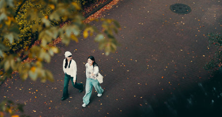 Japanese women, above and nature with outdoor for adventure, break and friendship in road. Female...