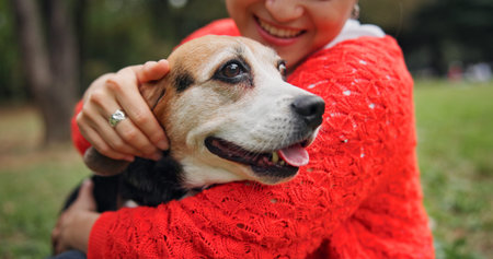 Nature, happy and woman hugging dog in forest for bonding, companion and love for adoption. Smile,...