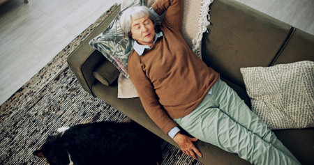 Above, sleeping and relax with old woman on sofa with dog for break, dreaming and tired. Fatigue, wellness and animal care with senior person in living room at home for retirement, comfort and restの写真素材