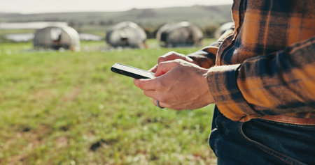 Man, hands and chicken farmer with phone on field, agriculture and chat to client for organic dairy deal. Male person, outdoor and online for production tips on sustainability, eggs and plan exportの写真素材
