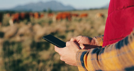 Man, hands and farmer with phone on field, agriculture and chat to client for organic dairy deal. Male person, outdoor typing and online for production tips on sustainability, cattle and plan exportの写真素材