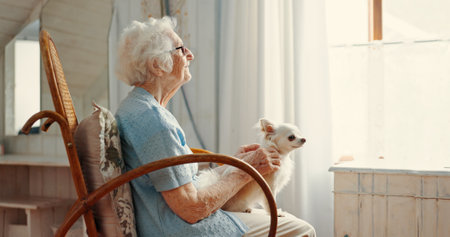 Dog, elderly woman and living room for thinking, memory and affection as emotional support animal. Puppy, senior person and reflection for wellness, pet care or bonding as together in retirement homeの写真素材