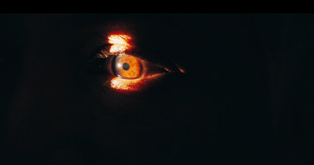 Closeup, eye scan and test in optometry for doctor, consultation and examination for vision health. Person, retina and medical advice for diagnosis in clinic for optical wellness, therapy or analysisの写真素材