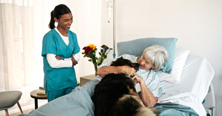 Caregiver, dog and senior woman in hospital bed, bonding together and service animal. Nurse, person and professional in clinic, old patient and best friend with happiness, recovery and healingの写真素材