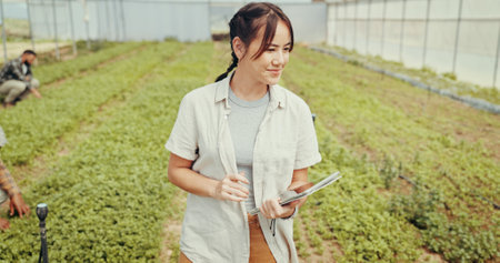Greenhouse, production and tablet with woman on farm for agriculture, sustainability and growth. Environment, summer and eco friendly with person for field inspection, quality control and healthの写真素材