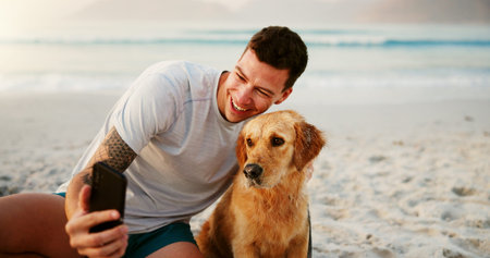 Dog, beach and man with summer, exercise and outdoor training with animal by sea. Happy, social...