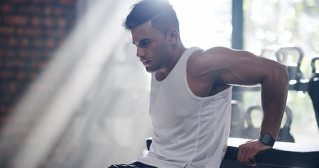 Fitness, man and triceps dips in gym for muscle, bodyweight exercise and strength training for body health. Strong, bodybuilder and workout arms for power, energy and wellness on bench in sports clubの写真素材