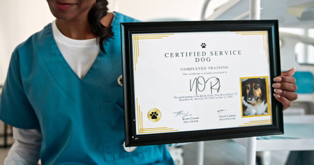 Service dog, healthcare and certificate with hands of woman for training school, helping others and award. Pride, caregiver and animal guide with closeup of diploma in clinic for medical assistanceの写真素材