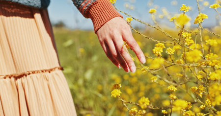 Woman, hand and touch flowers at field on holiday, vacation and tourist relax outdoor. Travel, fingers and person with plants in garden, countryside or back on adventure for freedom in nature closeupの写真素材