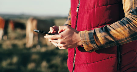 Outdoor, person and farmer on smartphone with livestock on website for agriculture funding or loan application. Closeup, entrepreneur and online or internet connection for communication or networkingの写真素材