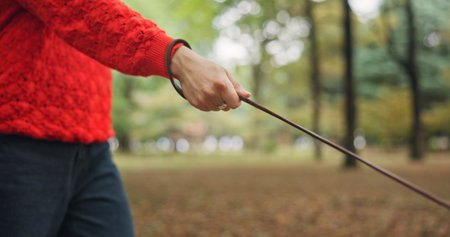 Forest, walk and hand of person with leash for outdoor adventure with pet, trees and guide in Japan. Nature, woods and animal walker in park with lead for morning exercise, fresh air and directionの写真素材
