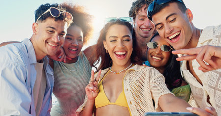 Girl, selfie and friends in summer with peace sign, excited and reunion on vacation with post on...