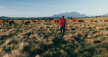 Man, back and farmer with livestock on grass field for natural production, agriculture or agro business in nature. Male person, animals and farmland with sustainability for faming in countrysideの写真素材