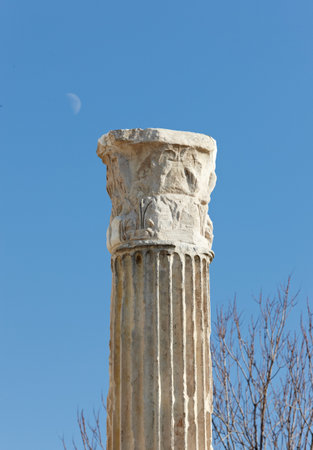 Architecture, ruins and temple with column in nature for antique, ancient building and history. Culture, tourism and travel with concrete landmark outdoors in Greece for stone sculpture and heritageの写真素材
