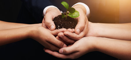 Soil, team and hands of business people with plant for sustainability, eco friendly and environmental charity. Corporate, collaboration and workers with sprout for earthy day, support and growthの写真素材