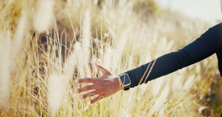 Peace, field and hand of person in nature for environment, travel adventure and freedom. Growth, wellness and sustainability with woman and plants in countryside meadow for vacation, park and calmの写真素材