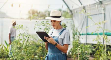 Farm, tablet and woman in greenhouse with plants for growth, sustainability and harvesting crops. Agriculture, nature and farmer on digital tech for environment, plant health and online inspectionの写真素材