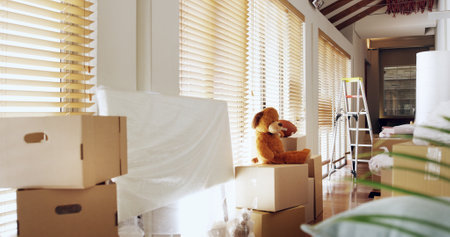 Hallway, boxes and moving in for house, investment or real estate with packing and shipping of luggage. Furniture, cardboard and new home with loan, mortgage and property of apartment and relocationの写真素材